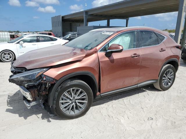 Vin: 2t2ggcez6sc076703, lot: 54664795, lexus nx 350 pre 350 premium 2025 img_1