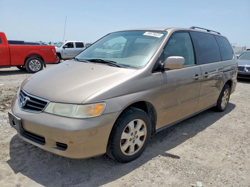 HONDA ODYSSEY EX