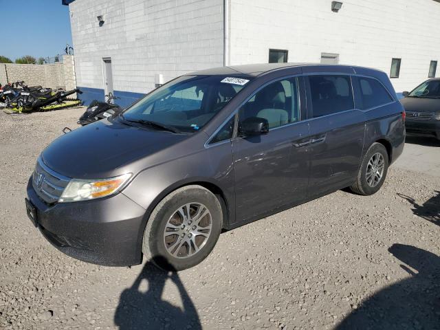 Vin: 5fnrl5h46bb029042, lot: 54877545, honda all models ex 2011 img_1