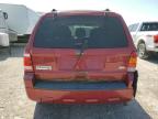 Lot #3303951685 2011 FORD ESCAPE XLT