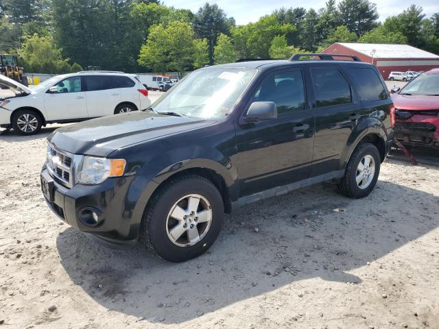 2011 FORD ESCAPE XLT - 1FMCU9DGXBKA90337