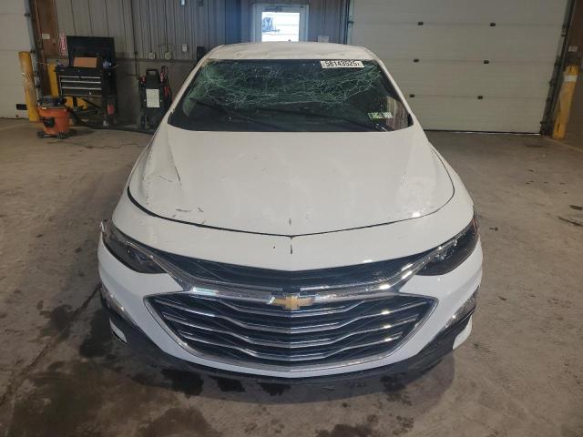 2019 CHEVROLET MALIBU LS 1G1ZB5ST1KF220505