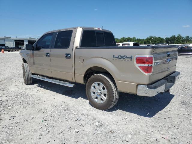 Vin: 1ftfw1ef6dfb95424, lot: 57945865, ford f-150 supercrew 20132