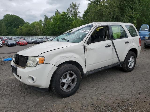 Global Auto Auctions: 2010 FORD ESCAPE XLS