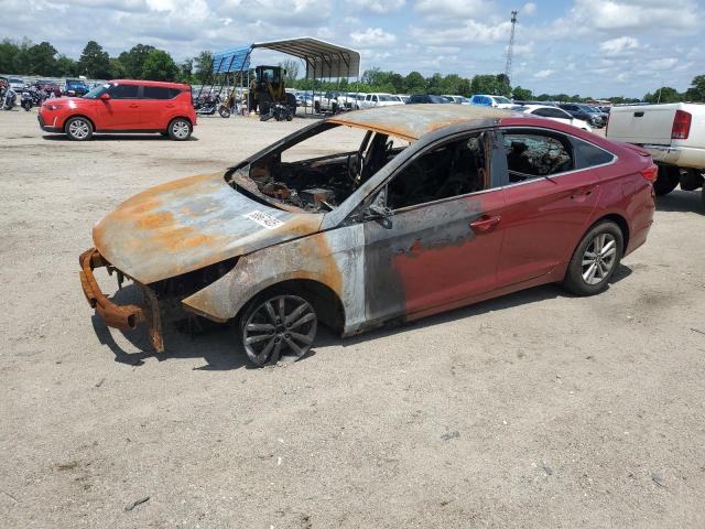 Vin: 5npe24af6fh015298, lot: 58667405, hyundai sonata se 2015 img_1