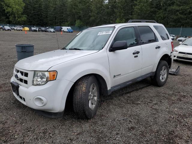 Vin: 1fmcu5k37akc44185, lot: 57617605, ford escape hybrid 2010 img_1