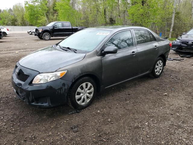 Vin: 2t1bu4ee8ac363095, lot: 56706165, toyota corolla base 2010 img_1