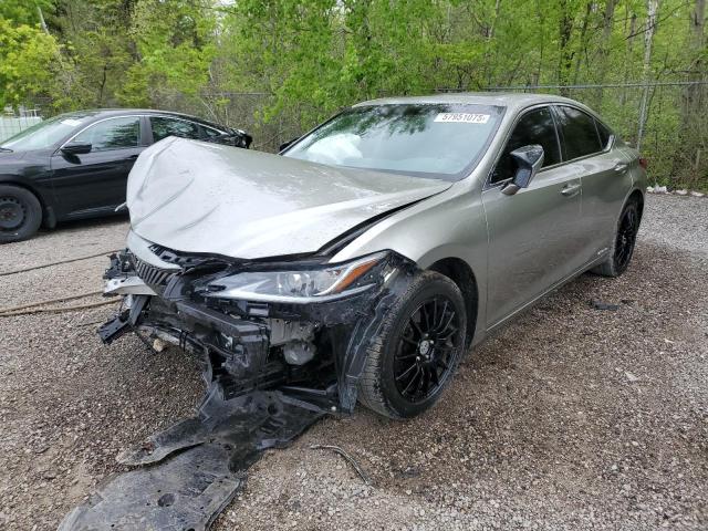 Vin: jthb21b14k2043342, lot: 57951075, lexus es300 300h 2019 img_1