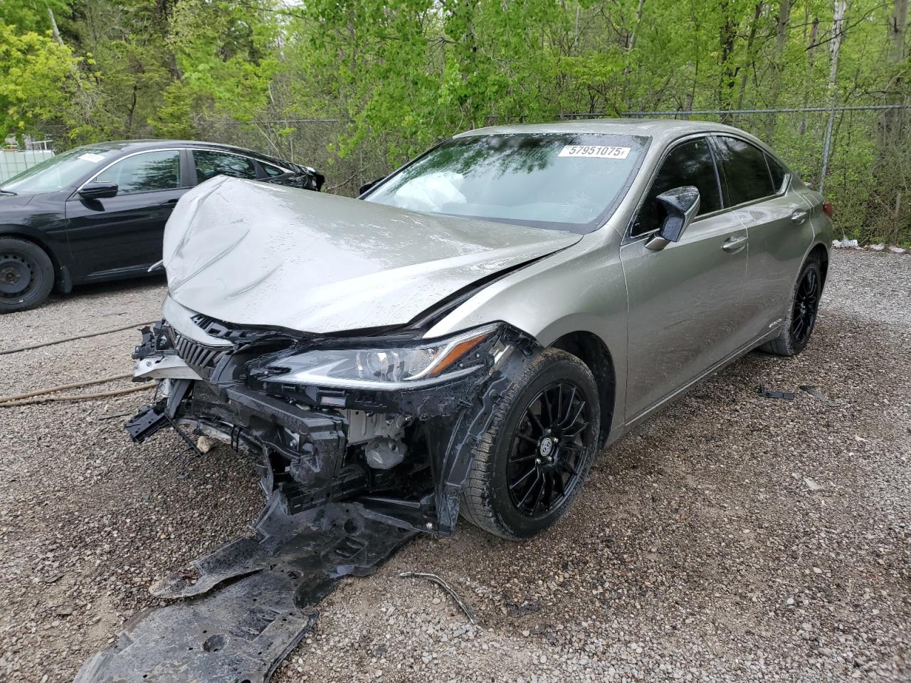 LEXUS ES 300H