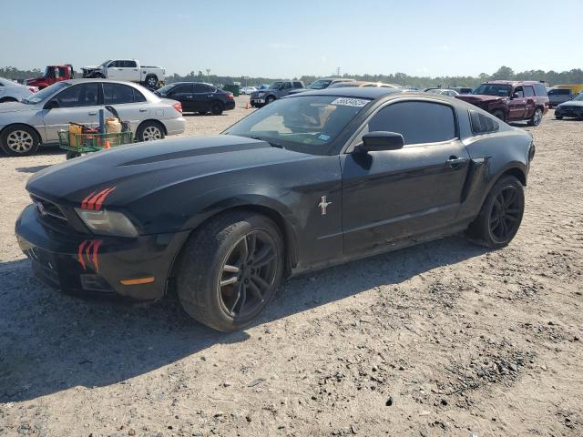 Vin: 1zvbp8amxc5202904, lot: 56834625, ford all models 2012 img_1