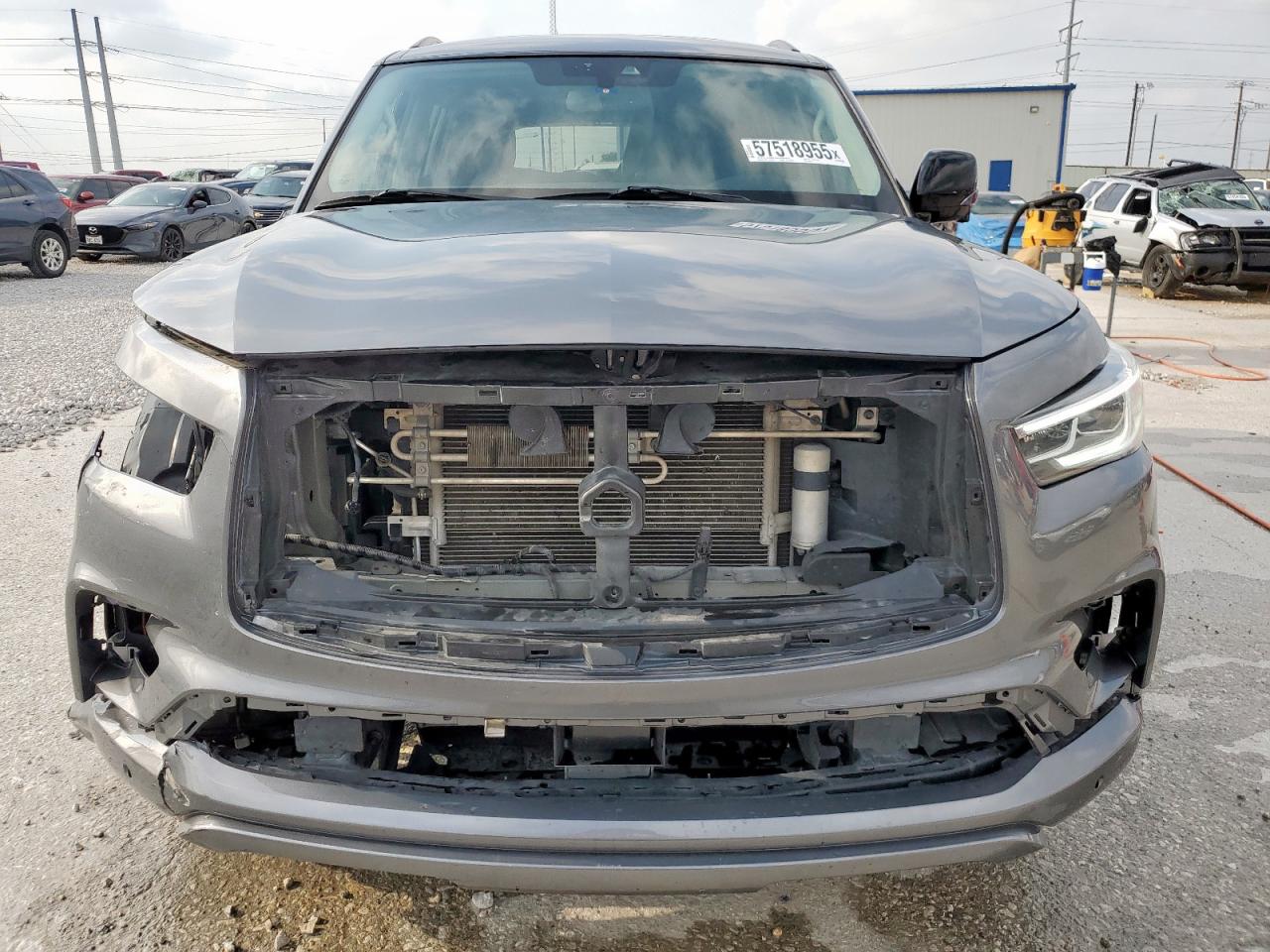 INFINITI QX80 2019