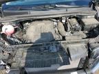 Lot #3301601647 2024 KIA CARNIVAL L
