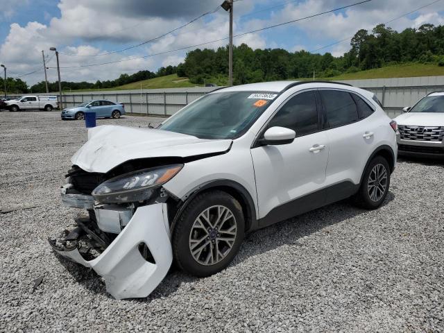 FORD ESCAPE SEL