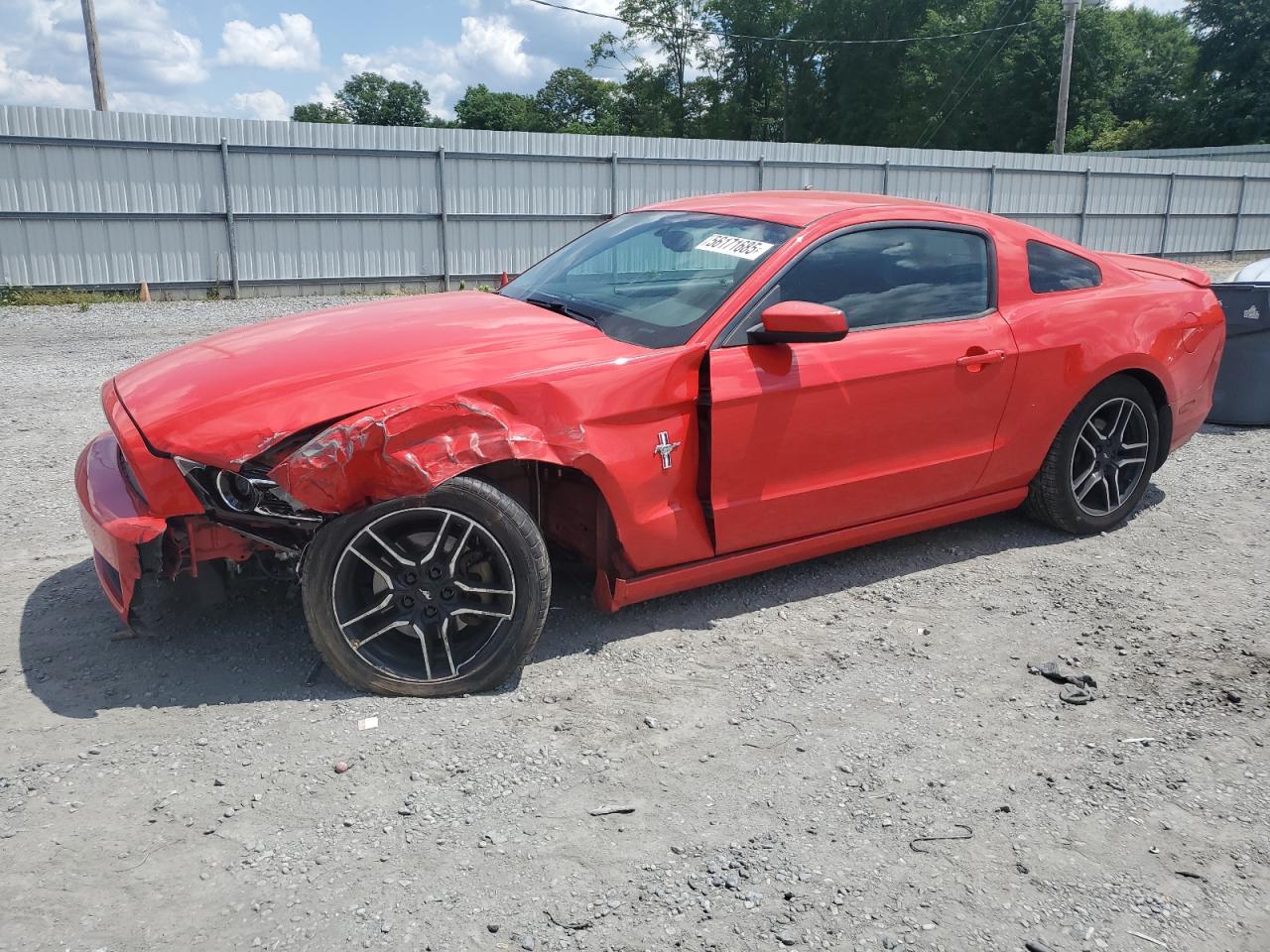 FORD MUSTANG