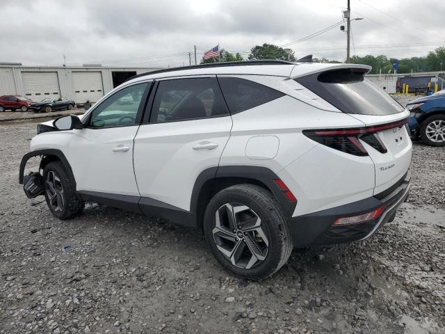 Vin: 5nmjecaexph201688, lot: 56013095, hyundai tucson limited 20232