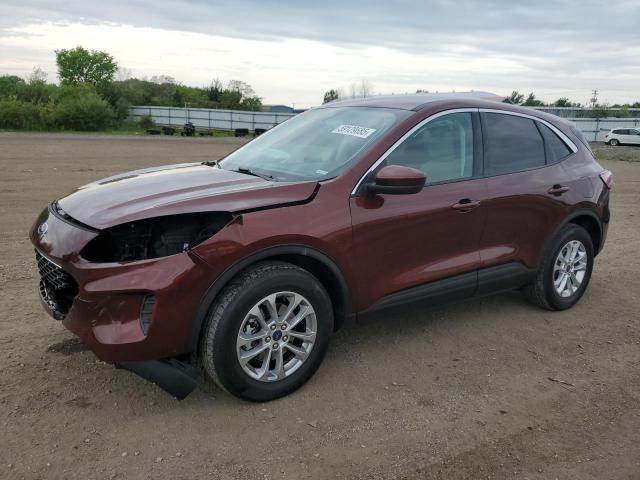 Vin: 1fmcu9g6xmua97492, lot: 59129685, ford escape se 2021 img_1