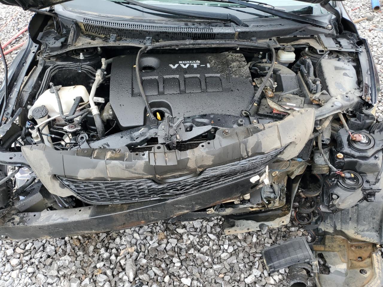 Lot #3282576874 2009 TOYOTA COROLLA BA