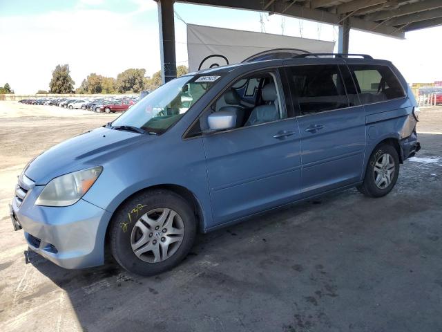 HONDA ODYSSEY EX 2007 blue sports v gas 5FNRL38647B077250 photo #1