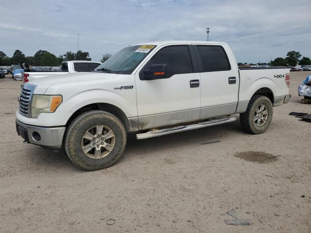 Vin: 1ftfw1ef6bfa16909, lot: 55920825, ford f-150 supercrew 2011 img_1