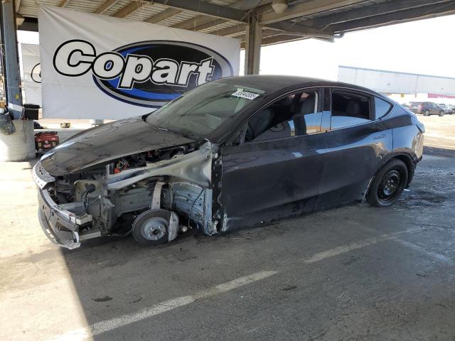 Vin: 7saygded9sf229124, lot: 55344555, tesla model y 2025 img_1
