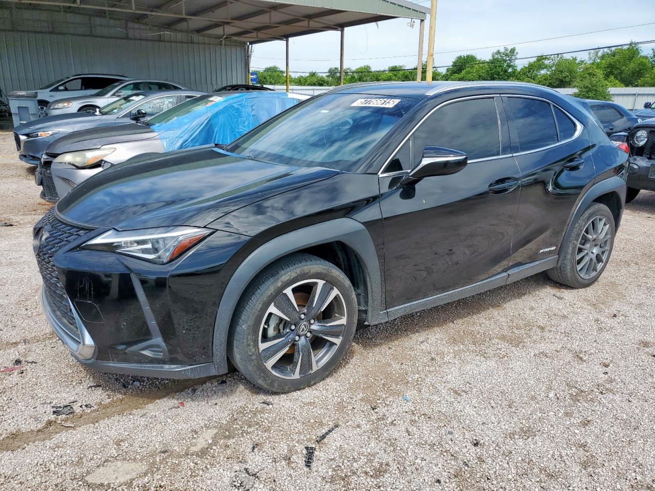 LEXUS UX 250H