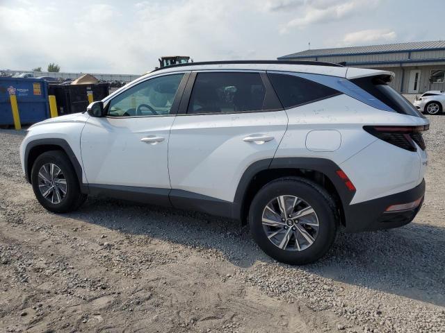 Vin: km8jbca10pu128714, lot: 56591965, hyundai tucson blue 20232