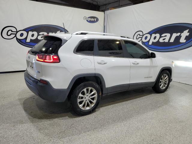 2019 JEEP CHEROKEE L - 1C4PJLCB2KD215403