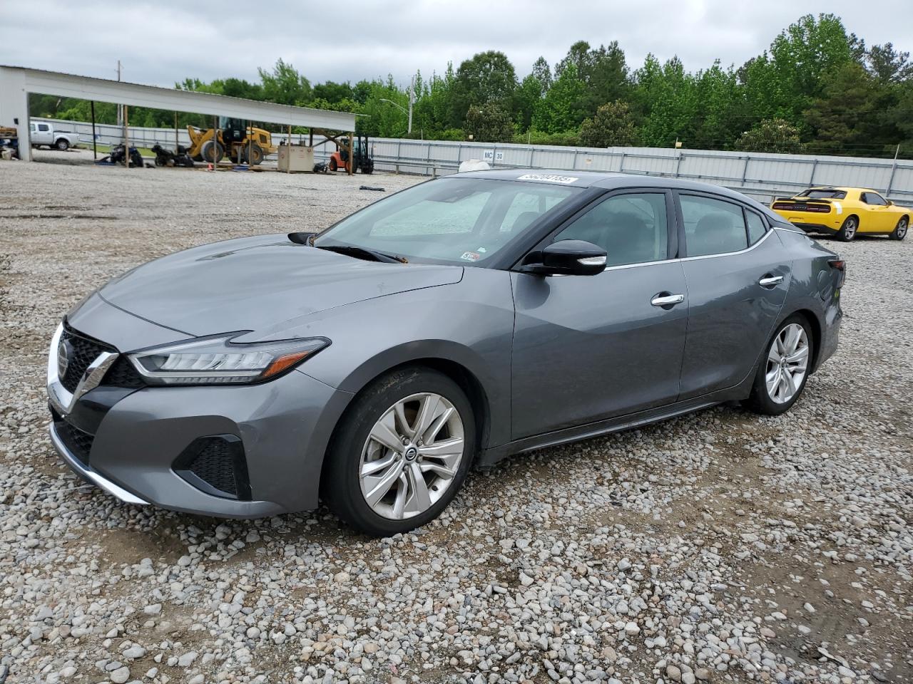 NISSAN MAXIMA SV