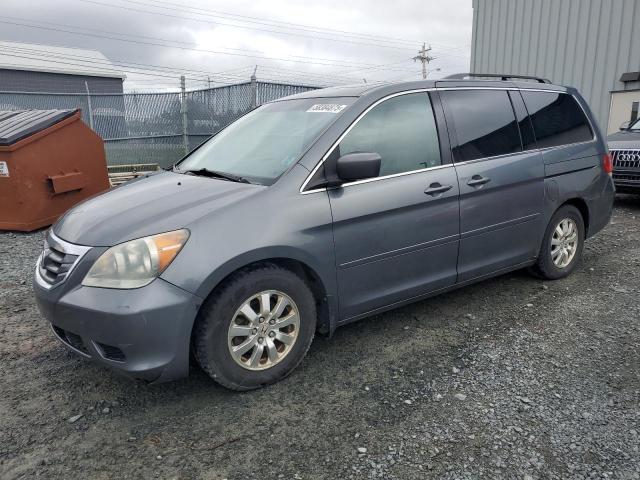 Vin: 5fnrl3h63ab502836, lot: 58384875, honda all models exl 2010 img_1