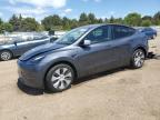 2023 TESLA MODEL Y - 7SAYGDEE8PF869440