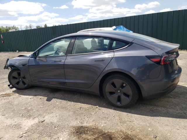 Vin: 5yj3e1ea3pf546695, lot: 57075155, tesla model 3 20232