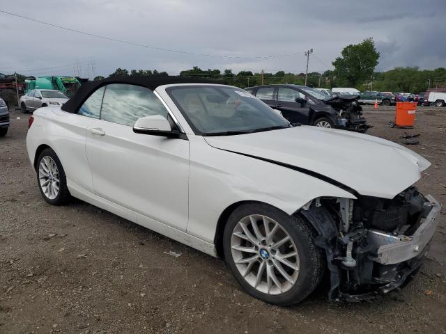 2016 BMW 228 XI SUL WBA1L9C53GV767472
