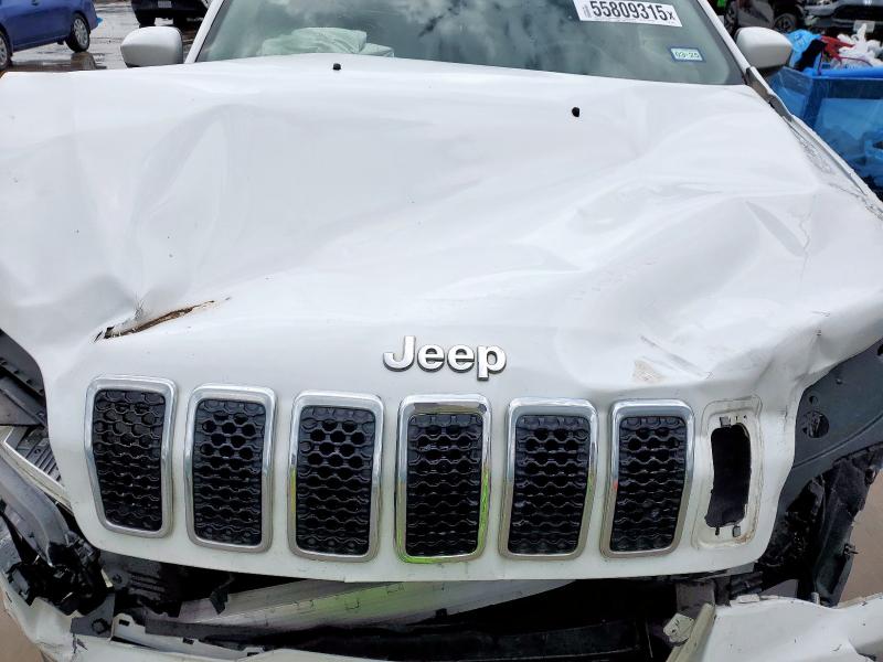2019 JEEP CHEROKEE L 1C4PJLLB3KD204121
