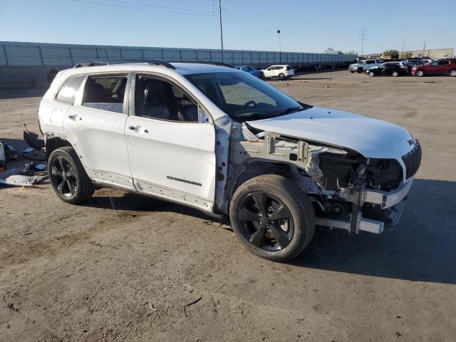 2019 JEEP CHEROKEE L 1C4PJLLB2KD377323