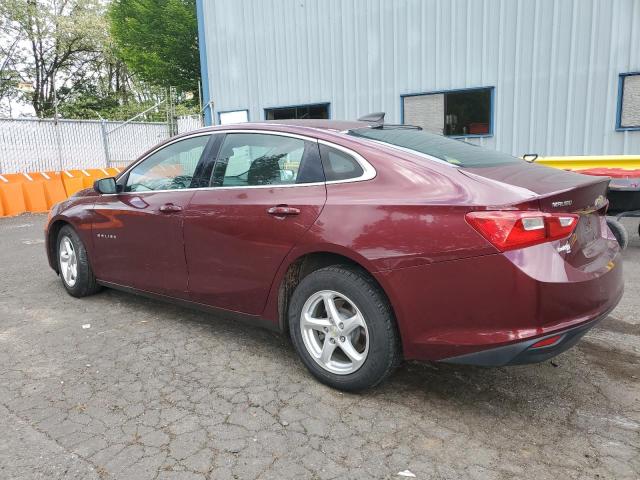 Vin: 1g1zb5st7gf241804, lot: 56960115, chevrolet malibu ls 20162