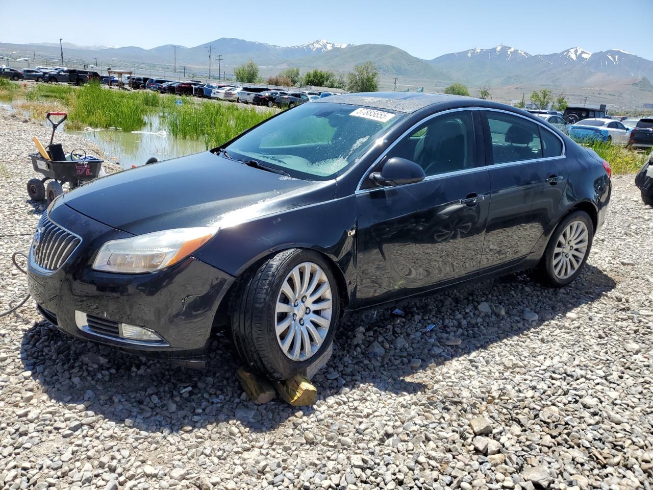 BUICK REGAL CXL