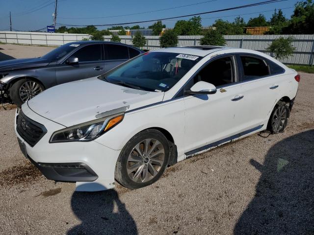 2017 HYUNDAI SONATA SPO - 5NPE34AF6HH440228