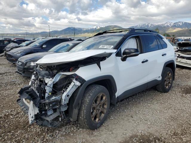 TOYOTA RAV4 WOODL