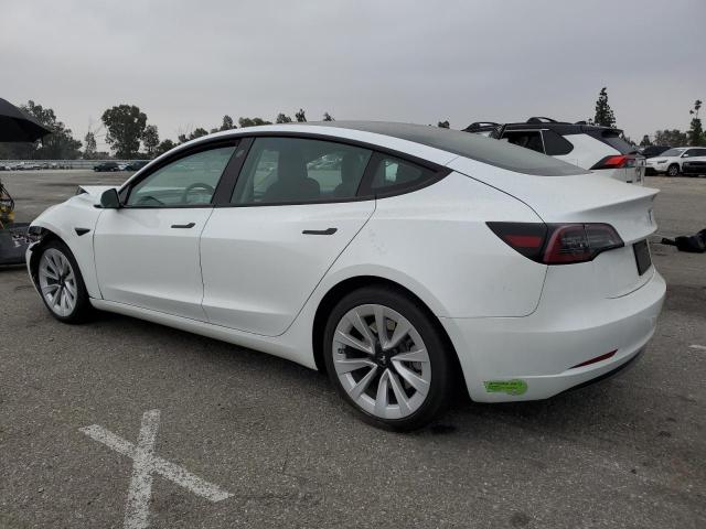 2023 TESLA MODEL 3 5YJ3E1EB0PF415278