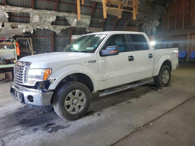 Vin: 1ftfw1et3efc16883, lot: 58385965, ford f-150 supercrew 2014 img_1