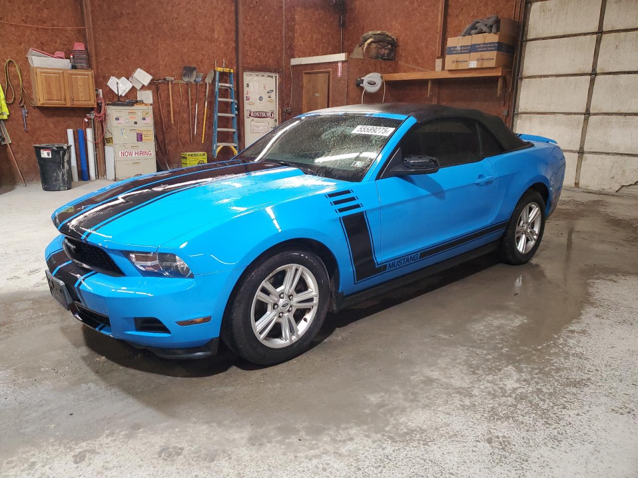 FORD MUSTANG