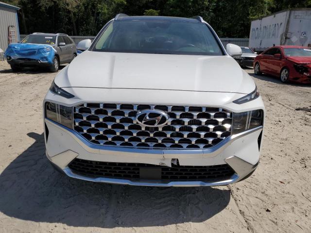 2023 HYUNDAI SANTA FE L 5NMS44AL6PH609813