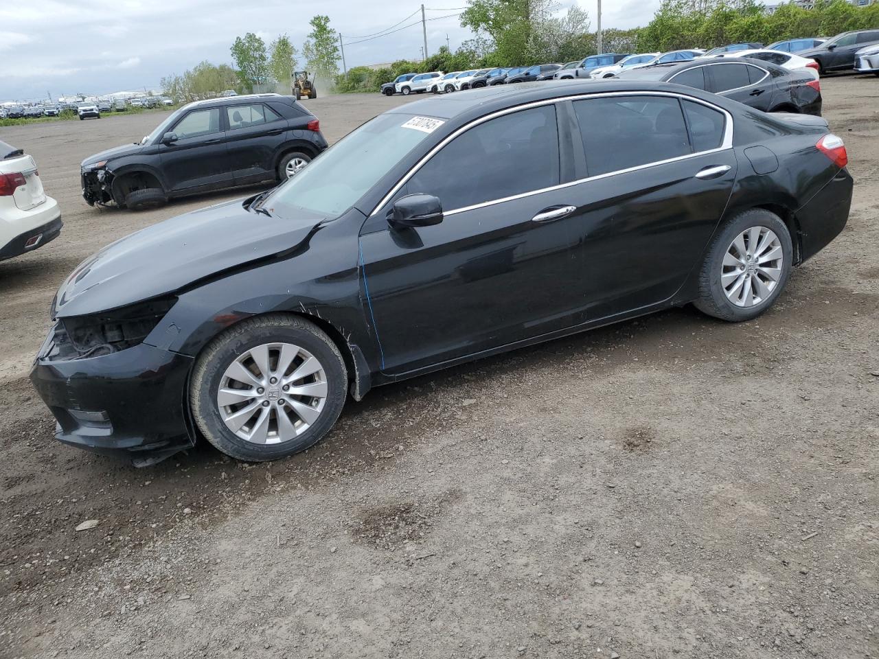 HONDA ACCORD EXL