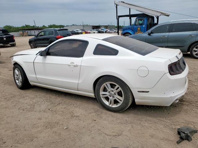 2013 FORD MUSTANG - 1ZVBP8AM1D5279002
