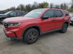 Top Destinations for Shipping Cars from the USA