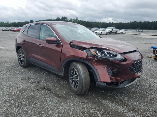 Vin: 1fmcu0ezxmub22013, lot: 58973575, ford escape se 20214