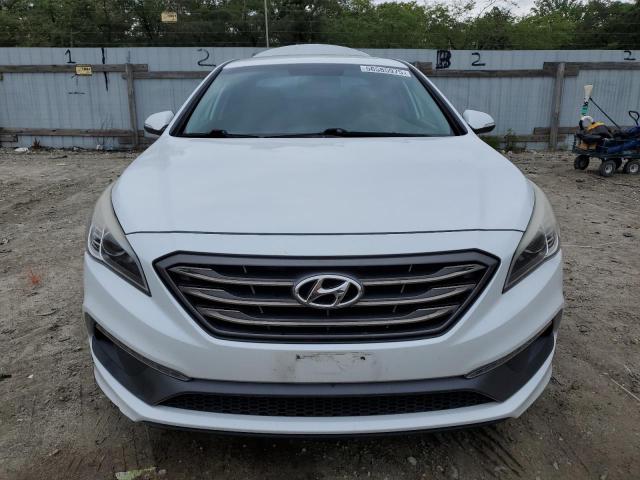 2016 HYUNDAI SONATA SPO - 5NPE34AFXGH260605