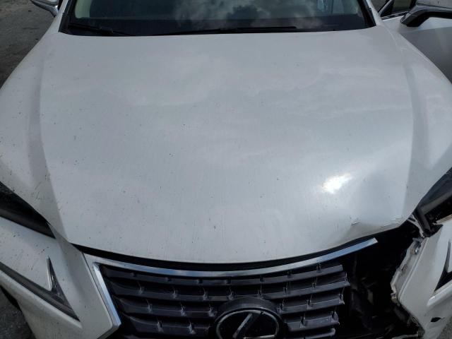 2019 LEXUS NX 300 BAS - JTJYARBZ3K2116734