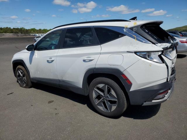 Vin: 5nmjbcde9sh447628, lot: 56249335, hyundai tucson sel 20252