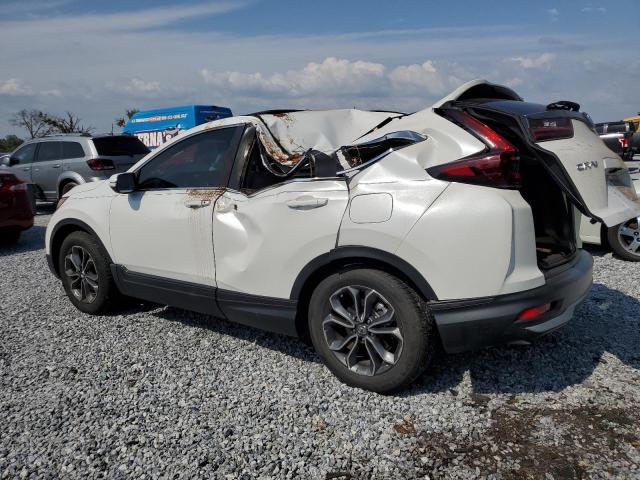 Vin: 5j6rw1h80ma005733, lot: 57223355, honda crv exl 20212